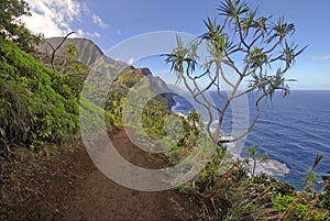 Rugged Coastline and Cliffs along the Kalalau Trail of Kauai, Hawaii