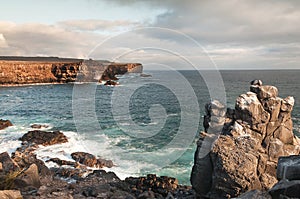 Rugged coastline of Espanola Island Galapagos photo