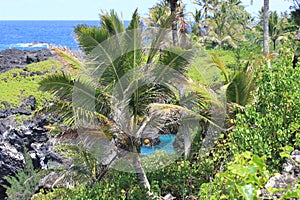 Rugged coastline hawaii maui