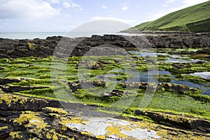 Rugged Coastline in Ireland