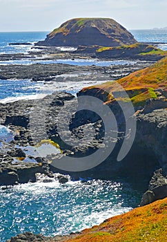 The rugged coastline on Phillip Island.This area is known as the \