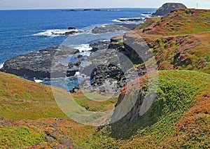 The rugged coastline on Phillip Island.This area is known as the \