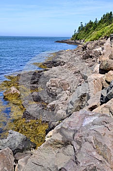 Rugged coastline stretching across landscape at East Ferry