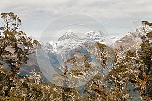 Rugged Darran Mountains from Routeburn Track