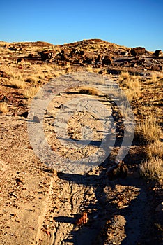 Rugged and Desolate Landscape Petrified Forest Arizona