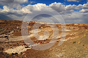 Rugged and Desolate Landscape Petrified Forest Arizona