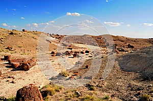 Rugged and Desolate Landscape Petrified Forest Arizona