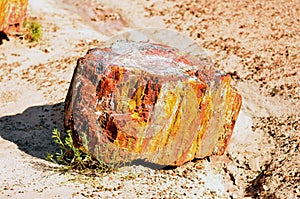 Rugged and Desolate Landscape Petrified Forest National Park Arizona