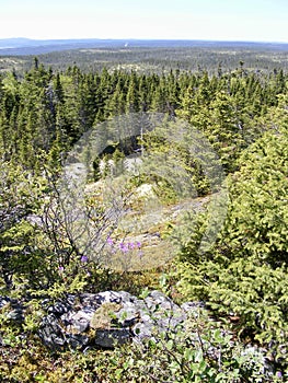 Rugged forested landscape at Terra Nova\'s Ochre Hill Lookout