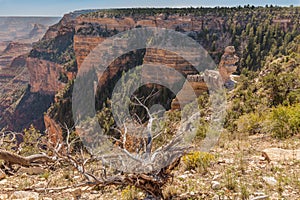 Rugged Grand Canyon Landscape