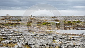 Rugged landscape of Burren in Ireland