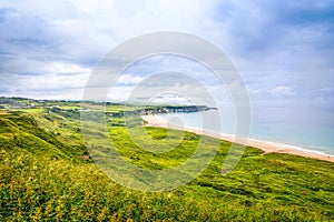 Rugged landscape in County Antrim, Ireland. Beach with cliffs, green rocky land with sheep on foggy cloudy day. Wild