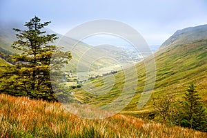 Rugged landscape at Glengesh Pass, County Donegal, Ireland. Beach with cliffs, green rocky land with sheep on foggy