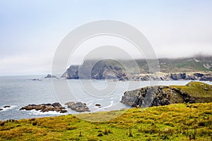 Rugged landscape at Malin Head, County Donegal, Ireland. Beach with cliffs, green rocky land with sheep on foggy cloudy
