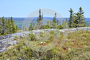 Rugged landscape at Terra Nova\'s Ochre Hill Lookout