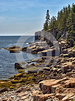 Rugged Maine Coastline in Acadia National Park