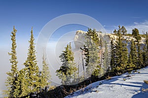 Rugged Mountain Cliff in the Pines