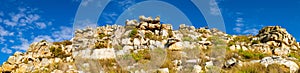 Rugged mountain landscape with fynbos flora in Cape Town