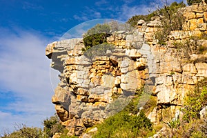 Rugged mountain landscape with fynbos flora in Cape Town