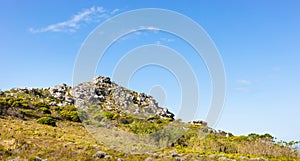 Rugged mountain landscape with fynbos flora in Cape Town