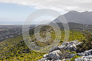 Rugged mountain landscape with fynbos flora in Cape Town