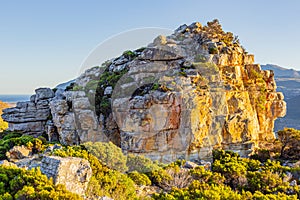 Rugged mountain landscape with fynbos flora in Cape Town