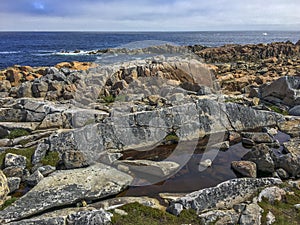 Rugged Newfoundland coastline