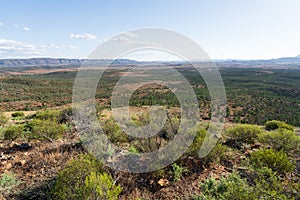 Rugged outback scenery surrounding the Wilpena Pound region of the Flinders Ranges