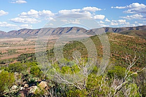 Rugged outback scenery surrounding the Wilpena Pound region of the Flinders Ranges