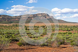 Rugged outback scenery surrounding the Wilpena Pound region of the Flinders Ranges