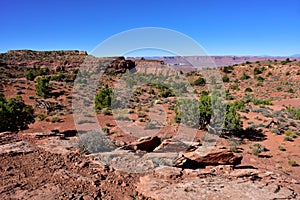 Rugged red Canyonlands National Park, Utah