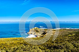 Rugged rocks and steep cliffs of the Cape of Good Hope