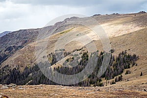 Rugged Rocky Mountain Landscape and Evergreen Forest