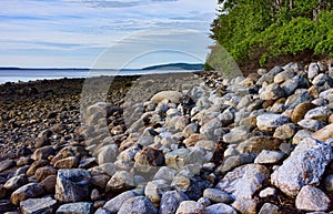 Rugged rocky shore of the coast of Maine at low tide