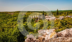 The rugged, rocky terrain of Bear Rocks, in Dolly Sods Wilderness, Monongahela National Forest, West Virginia.