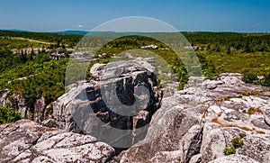 The rugged, rocky terrain of Bear Rocks, in Dolly Sods Wilderness, WV