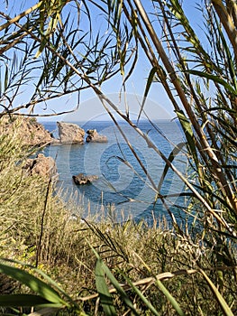 Rugged shore with stones and rocks