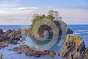 Rugged shoreline of wild pacific trail in Ucluelet, Vancouver Is