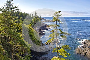 Rugged shoreline of wild pacific trail in Ucluelet, Vancouver Island, BC