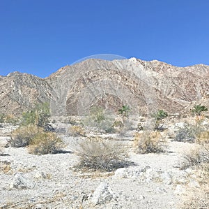 Rugged Terrain Above La Quinta Cove photo