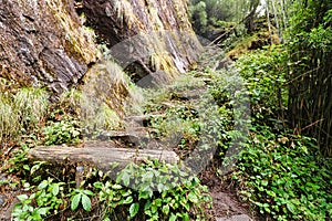 Rugged Mountain trails,Mera Peak Trek,Nepal photo