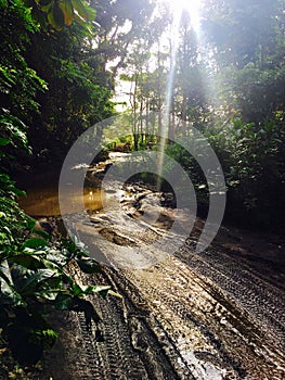 Rugged tropical jungle trail down to Waipiâ€™o Valley on the Big Island of Hawaii