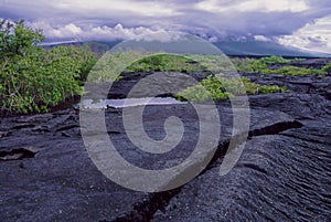 Fernandina Landscape Galapagos Islands