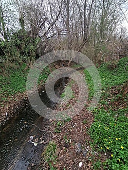 Ruginoasa River, Black Valley