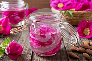 Rugosa rose petals macerating in almond oil