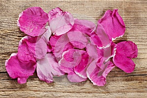 Rugosa rose petals on wooden
