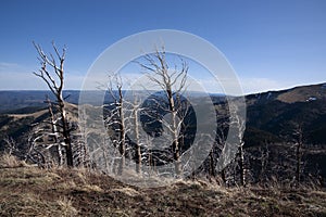 Ruidoso New Mexico Mountain View