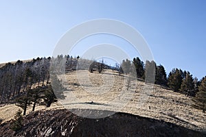 Ruidoso New Mexico Mountain View