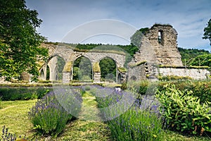 Ruin of a 900 year old monastery