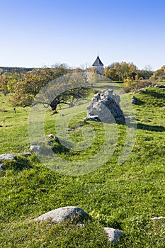 Ruin Alsnohus Hovgarden photo